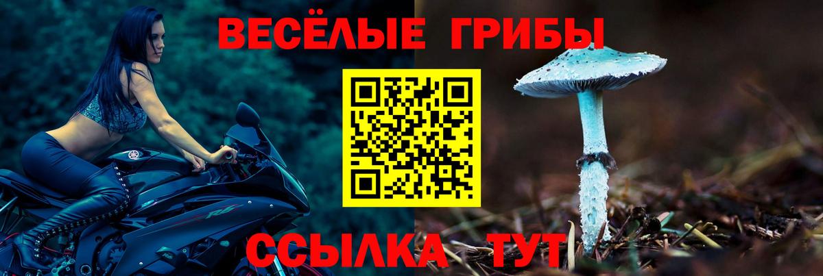 Усть-Кут  Галлюциногенные грибы MAGIC MUSHROOMS  Вход с VPN 